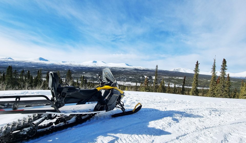 Día Ártico: Moto de nieve | Medio día 