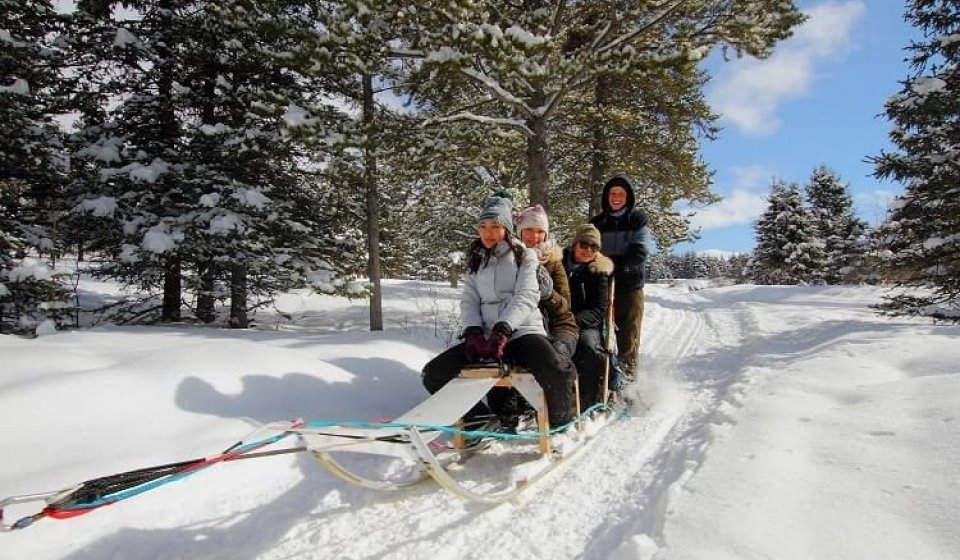 Mushing sled hot sale